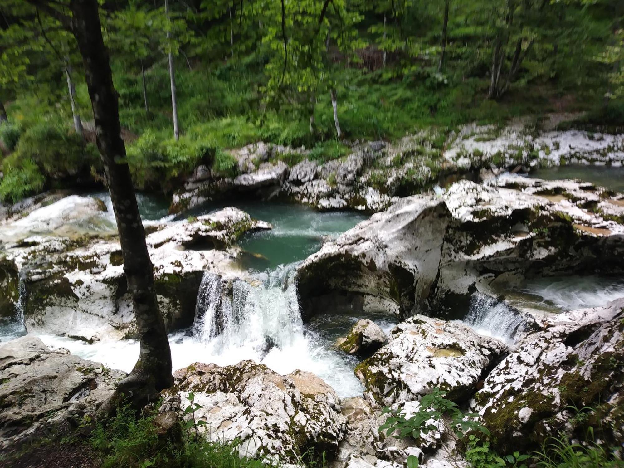 Apartma Vojvoda Bohinj Extérieur photo