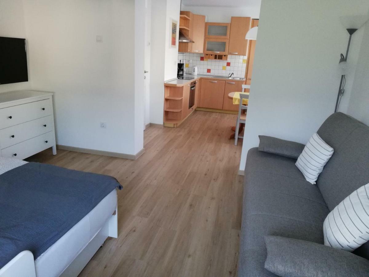 Apartma Vojvoda Bohinj Extérieur photo